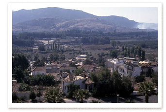 View to Artemision and Landscape of Ephesus